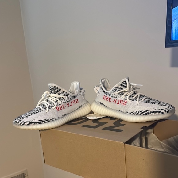 zebra yeezy retail